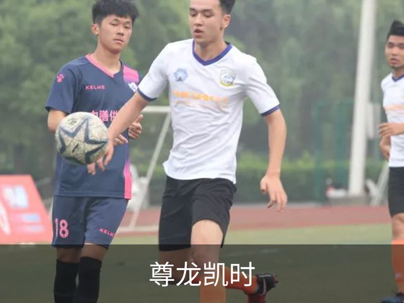 关于尊龙凯时